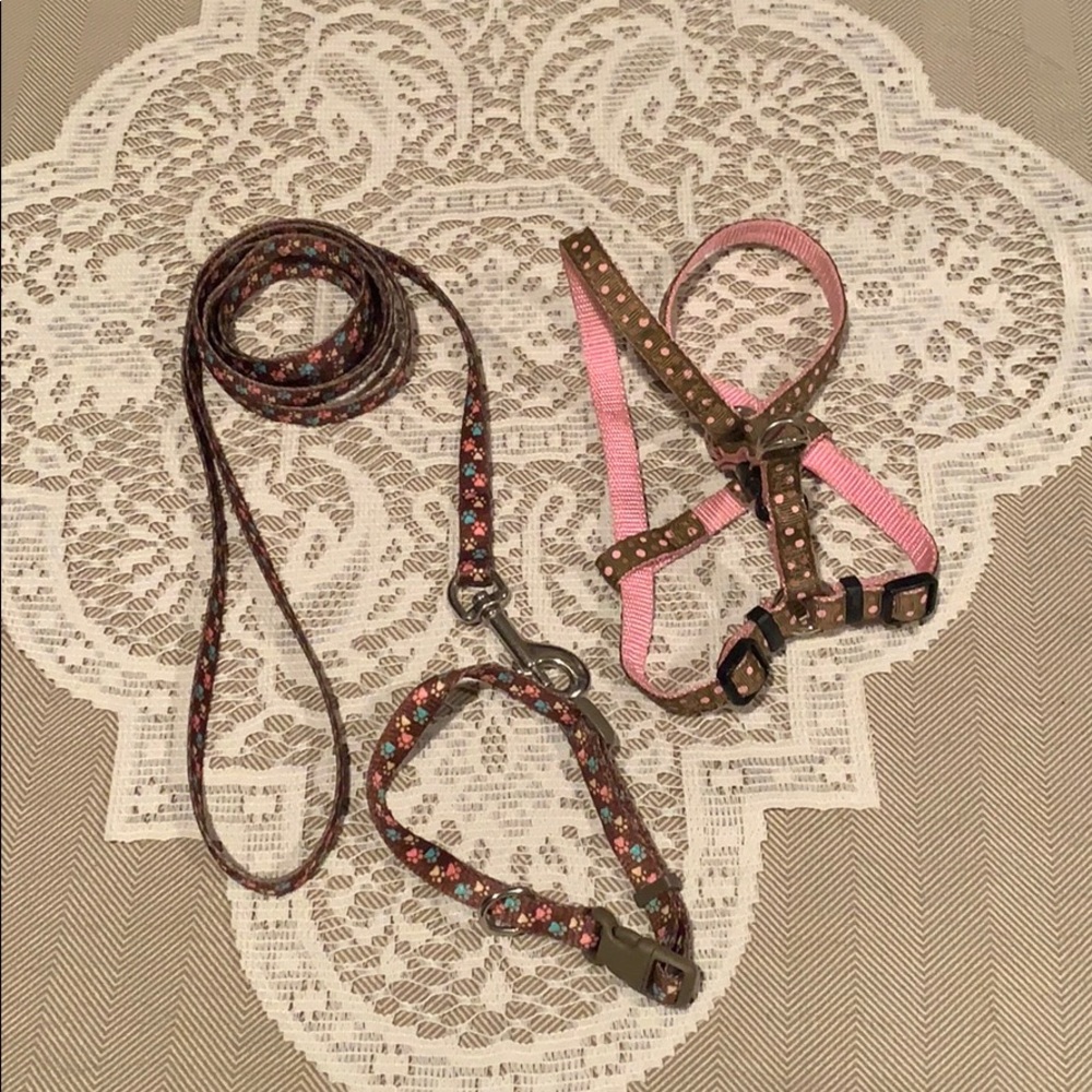 Dog Leash, Collar & Harness